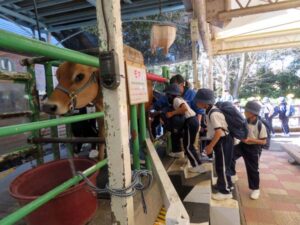 秋の遠足・社会科見学